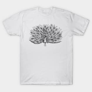 Peacock image T-Shirt